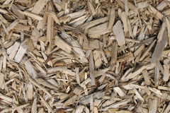 biomass boilers Sampford Chapple